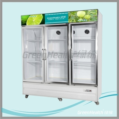 Stainless Steel Upright Commercial Display Freezer -25°C With Vertical Light