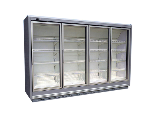 Glass Door Freezer for Supermarket and Convenience Store Frozen Food Display, Remote Type