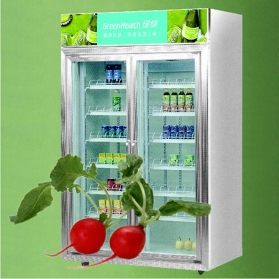 2 door Beverage Display Cooler For Bakery OEM Guanzghou Factory 