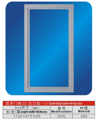 Custom ABS Refrigerator Freezer Parts Cooler Body Frame with Top Door 300L