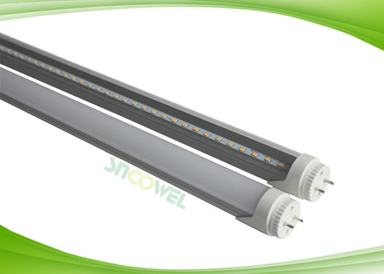 2835SMD 48pcs 2 Foot 600mm 10Watt T8 Led Tube Lamp with Rotatable Sockets