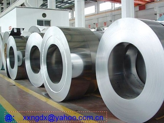 F12 Hot Dipped Galvanized Steel Coils For Industrial Freezers