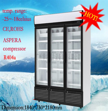 1260 Liter Commercial Glass Display Freezer 5 Tiered With Environmental Protection